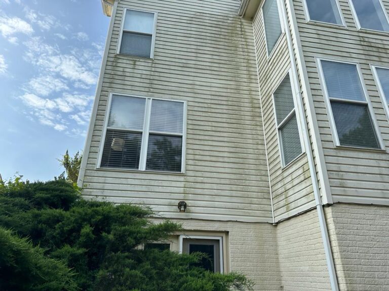 Gray-green streaks on vinyl siding before a house soft wash in Fairfax, VA.